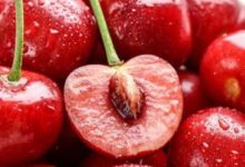 這16種素食竟然可以抗癌，照著吃，癌症離你遠遠的！-酷播亮新聞