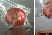 超越相機！簡直像素級的油畫！-酷播亮新聞