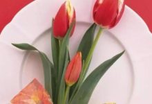 春節家裡放這幾種花，狗年一定旺旺旺！-酷播亮新聞