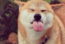 你是幾月份出生的？-酷播亮新聞