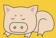 屬豬的人在情人節這幾天會有的好運和霉運-酷播亮新聞