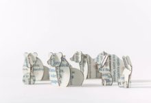 兔子和熊的婚禮請柬-酷播亮新聞