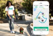 軟銀投資遛狗中介 願景基金3億美元到底投在哪？-酷播亮新聞