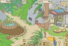 難道你玩佛系青蛙，不是在跟風嗎？細說青蛙到底好在哪裡-酷播亮新聞