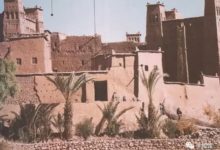 30天我們一起學手繪！打卡第十八天-酷播亮新聞