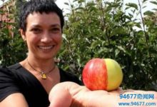 揭秘蘋果標誌的含義，竟是為了紀念一代天才！-酷播亮新聞