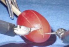 顛覆想像的軟體機器人，能做人造肌肉，能做高精尖手術-酷播亮新聞