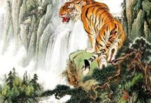 妻不嫌夫窮!這3大生肖女從不嫌老公窮,還能旺老公有錢有勢-酷播亮新聞