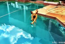 「杯具」發生前的0.01秒，笑噴了-酷播亮新聞