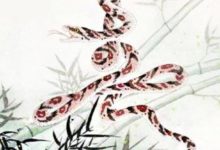 2018春節逢財神爺送財，手氣好財運旺賺錢多的4個生肖-酷播亮新聞