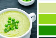 絢麗多彩的配色方案！-酷播亮新聞