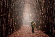 回家，是世間最美的旅行-酷播亮新聞