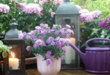 婚姻若想長久，這4個原則須得遵守-酷播亮新聞