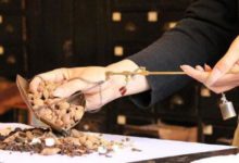 用中藥，看看中醫治糖尿病有一手-酷播亮新聞