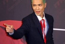 明星們的奇葩髮型，蕭敬騰頭頂青青草原，蔡依林王菲同款哪吒頭-酷播亮新聞