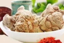 天麻燉乳鴿可以補虛調經！-酷播亮新聞