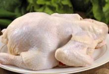 你不知道的雞肉真相-酷播亮新聞