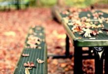 十二星座中的花心大蘿蔔，離這些星座遠點-酷播亮新聞