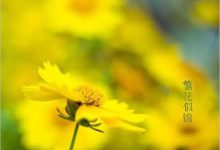 如何用標頭拍微距攝影-酷播亮新聞