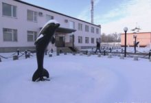 俄羅斯黑豚監獄，死是唯一離開方式-酷播亮新聞