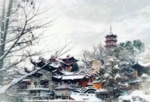 手機攝影作品欣賞-288-酷播亮新聞