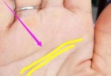 從手相智慧線來看哪些人具備較高的智商-酷播亮新聞