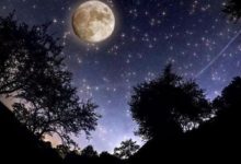 12星座本周愛情吉日吉時(2.12-2.18)-酷播亮新聞