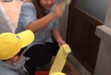 張柏芝攜兩子現身做這件事 難怪謝霆鋒信任及放心兩個孩子跟著她生活-酷播亮新聞