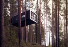 樹上的五星級套房！問題是要爬樹上去嗎？-酷播亮新聞