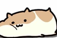 怎樣客氣的迴避妹子頻繁找我聊天？-酷播亮新聞