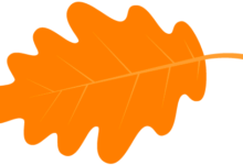 【風炫趣文】風炫FM-酷播亮新聞