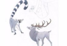 破太歲？屬羊人2018年春節運勢居然還能如此之好？-酷播亮新聞