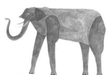 插畫丨森系小姐姐畫出奇思妙想的腦洞，是我小時候夢裡的樣子~-酷播亮新聞