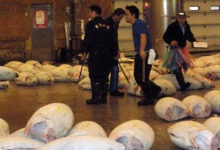 太陽有味道嗎？ 如果有該是個什麼味道呢？  ----楊逸-酷播亮新聞