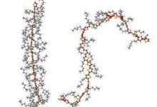 聚合物的空間結構可以控制OLED的顏色，這有助於提高顯示器的亮度-酷播亮新聞