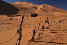 新研究稱撒哈拉沙漠面積近百年擴大約16%-酷播亮新聞