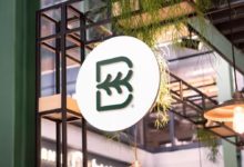 素食麵包 清淡色彩-酷播亮新聞