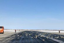 這是下黃金雨嗎：俄羅斯貨機在跑道上灑滿貴金屬-酷播亮新聞