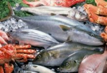 買海鮮常被以次充好？這個時下熱門互聯網技術讓你買的放心-酷播亮新聞