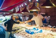 一個禮拜學會一種語言？ 讓這對雙胞胎兄弟教你 4 個讀書小技巧-酷播亮新聞