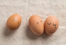 原來是這個原因，土雞蛋才比普通雞蛋好吃。土雞蛋營養真的更高嗎-酷播亮新聞