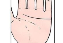 女人這三種手相特徵，天生富貴命，有望嫁貴夫，一生幸福-酷播亮新聞