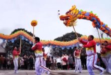 手機攝影作品欣賞-314-酷播亮新聞