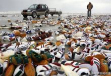 那些從海上飄來的「垃圾」，讓人歡喜讓人憂-酷播亮新聞