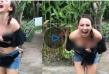 美女遊客被猴子扯衣襲胸 導遊：猴子太小本能反應【視頻】-酷播亮新聞