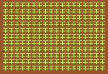 找與眾不同，看誰的眼力比較666-酷播亮新聞