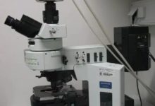 指尖上的三維熒光顯微鏡：無透鏡、超薄、超輕！-酷播亮新聞