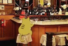 插畫丨她畫了一隻火遍全球的喵咪，蠢萌賤～惹不起的喵星人-酷播亮新聞