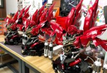 【佳作】油老虎新安洲，大到驚人-酷播亮新聞