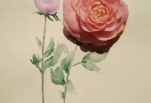 30天我們一起學手繪！打卡第三十天-酷播亮新聞